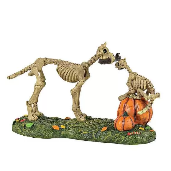 Department 56 Haunted Pets At Play< Village Halloween Accessories