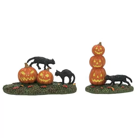 Department 56 Scary Cats Pumpkins St/2< Village Halloween Accessories